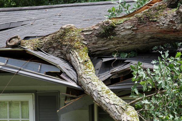 Storm Remediation in Hendersonville