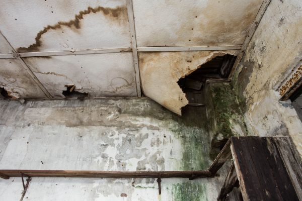 Water Damage Service in Hendersonville