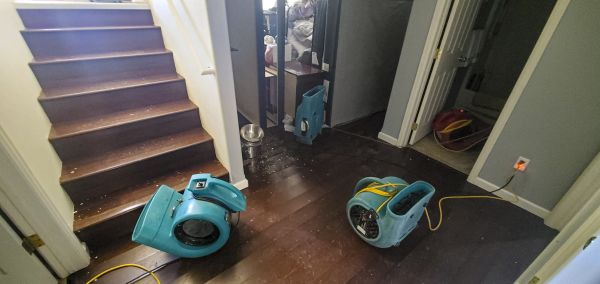 Water Damage Remediation in Hendersonville