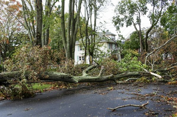 Tornado Damage Repair in Hendersonville