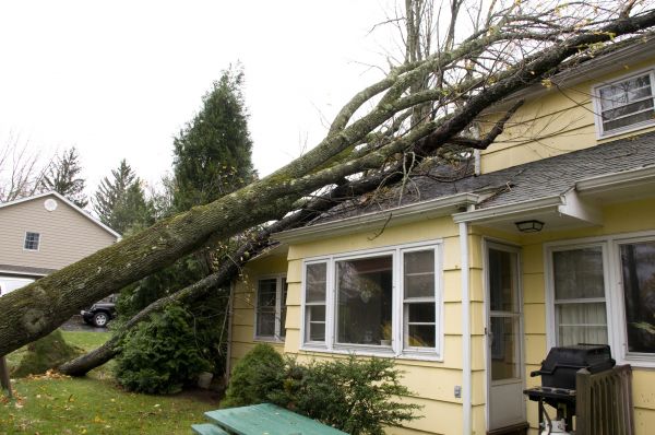Storm Damage Mitigation in Hendersonville