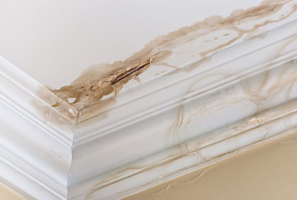Water Damage Recovery in Hendersonville